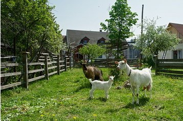 Slovacchia Privát Moravany nad Váhom, Esterno